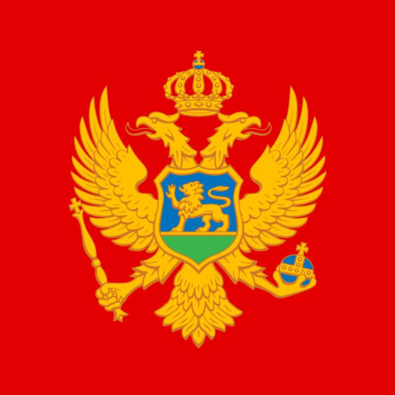 Montenegrin